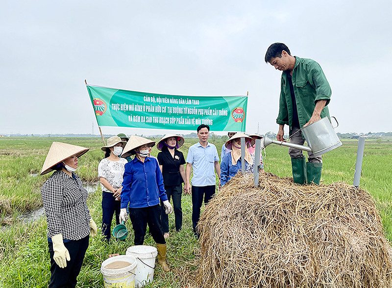 sử dụng phân bón hữu cơ
